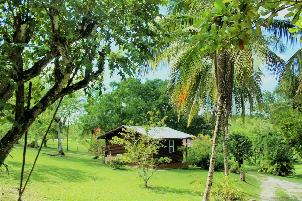 The Log Cab-Inn San Ignacio Exterior foto